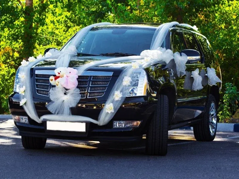 Reliable Wedding Taxi Service in Udaipur with Event Transport for Destination Weddings